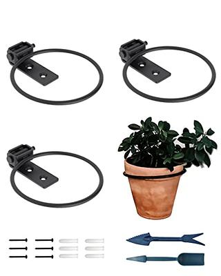 Set Of 2 8 Wall Mounted Flower Pot Holder Ring Brackets Black Powder Coat  - Achla Designs : Target