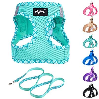 Fur Baby Dog Harness & Leash Set