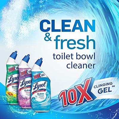 Lysol Power Toilet Bowl Cleaner, 48oz (2X24oz), 10X Cleaning Power