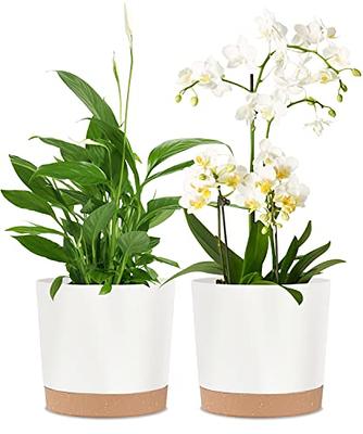 QCQHDU Plant Pots Set of 2 Pack 10 inch,Planters for Indoor Plants with  Drainage Holes and Removable Base,Saucer Modern Decorative for Outdoor  Garden Planters(Light Grey 10in) - Yahoo Shopping