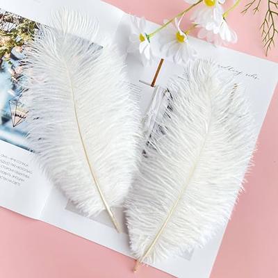 Black Large Feathers for Vase and Centerpieces: 24 Pcs 10-12 Inches Ostrich  Feathers Bulk, Boho Large Feathers for Centerpieces, Vase, Wedding Party