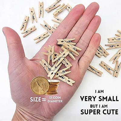 HSTECH 100 Pcs Mini Natural Wooden Clothespins and 82 ft Jute Twine, Baby Clothes Pins, 3.5 cm Craft Photo Clips for Home School Arts Crafts Decor