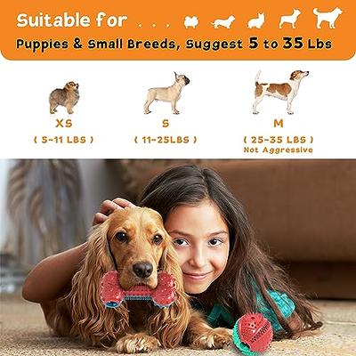 Zeaxuie Versatile Puppy Toys for Boredom and Stimulating - 8 Pack  Interactive Dog Toys with Squeaky and Treat Dispensing Puppy Chew Toys for  Teething