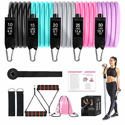 Vive Resistance Band Workout Poster (40 Illustrations) Laminated Bodyweight  Hitt Exercise Chart for Abs, Glute, Back, Legs - Stretch Routine for Home