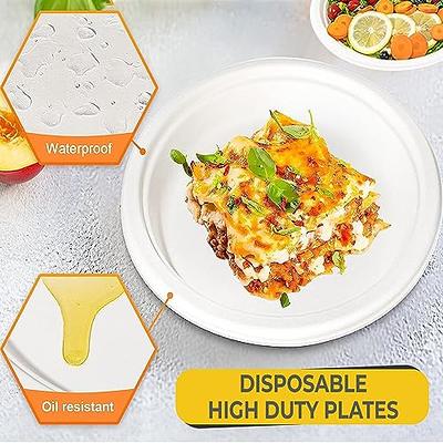 Hihomry Compostable Heavy Duty Paper Plates 10 Inch, Disposable