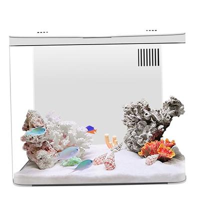 Penn-Plax Kit d'aquarium Baby Shark Betta Fish - Comprend un réservoir et 2  décorations - 1,13 gallon