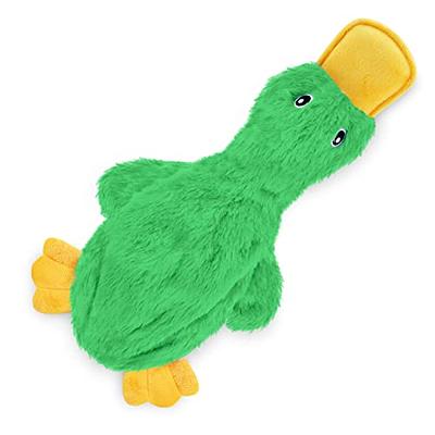 Best Pet Supplies Crinkle Dog Toy for Small, Medium, and Large Breeds, Cute  No Stuffing Duck with Soft Squeaker, Fun for Indoor Puppies and Senior