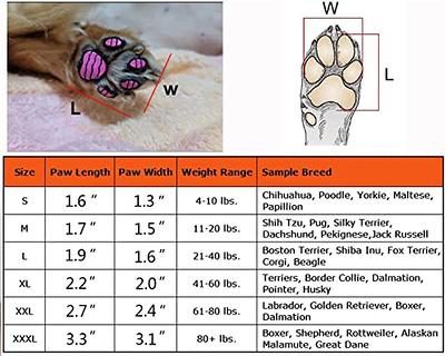 BEAUTYZOO Dog Anti-Slip Paw Grips Traction Pads  