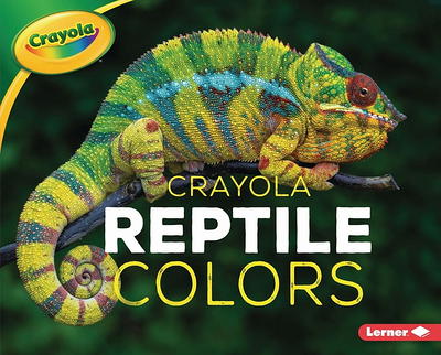 Crayola(R) Scribble Scrubbies 2pk. Rhino & Hippo - Yahoo Shopping