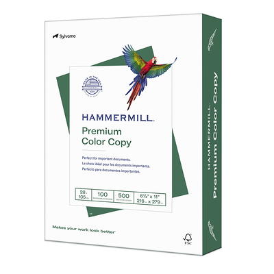 Hammermill Paper Great White 30% Recycled Paper, 20 lb