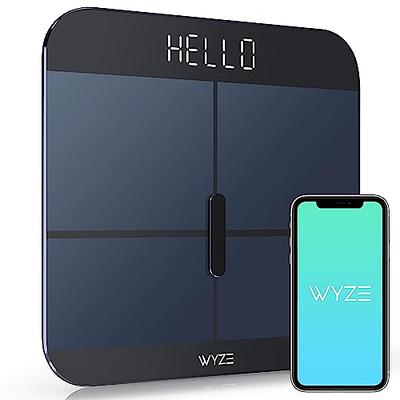 Scales Digital Weight, Smart Body Fat Scale Scales for Body Weight Digital  Bathroom Scale Weighing Scale Weight Scale Step-On Technology 400lb