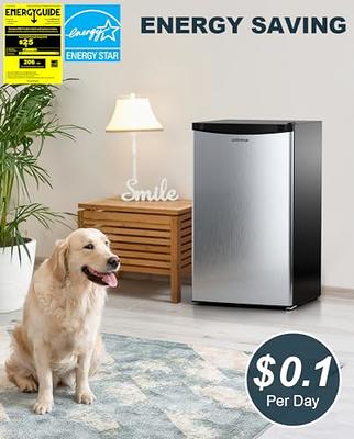 Mini Fridge with Freezer 3.2 Cu.Ft Adjustable Thermostat for Dorm Office  Bedroom