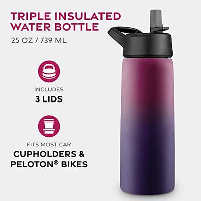 FineDine Insulated Water Bottles with Straw - 25 Oz Stainless Steel Metal Water  Bottle W/ 3 Lids - Reusable for Travel, Camping, Bike, Sports - Dreamy  Purple - Yahoo Shopping