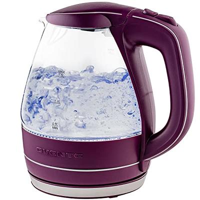 Longdeem Fast-Boiling Electric Tea Kettle - 1.7L Stainless Steel, Cordless,  LED Lit, Pastel Blue with Precise Temperature Control - Yahoo Shopping