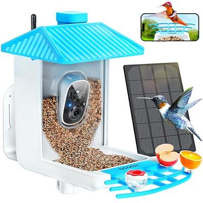 Smart Bird Feeder with Camera, Netvue Birdfy Bird Watching Camera Gift for  Parents and Bird Lover, Blue (Free AI)