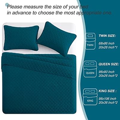 Exclusivo Mezcla 3-Piece King Size Quilt Set with Pillow Shams