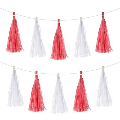 Pink Party Tassel Garland