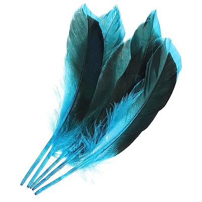  Nature Goose Feathers 3-5 inch Red and Green Goose Feathers for  DIY Crafts Bulk Wedding Home Christmas Party Decorations : Arts, Crafts &  Sewing