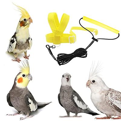 For Parrots Outdoor Flying Rope For Cockatiel Small Birds Bird Training  Harness