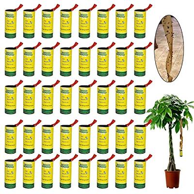 Qualirey Fruit Fly Traps for Indoors Hanging Fly Traps Outdoor Sticky Gnat  Traps for House Indoor