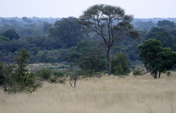 PHOTO: A file photo shows Kruger National Park in South Africa on April 16, 2017. (Corbis via Getty Images)