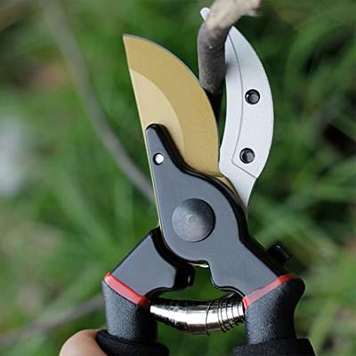 Garden Shears, Pruning Shears With Japanese Sk4 Steel Blades, Garden  Secateurs For Gardening Heavy Duty, Pruner Scissors Out Door, Bypass Pruner  Hedge