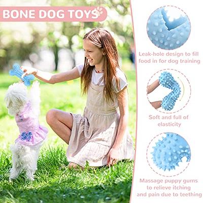 9 Pack Luxury Puppy Toys for Teething Small Dogs, Puppy Chew Toys with Cute  Sque