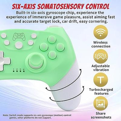 Switch Controller for Nintendo Switch/OLED, Switch Controllers Wired  Connection with 2 Programmable Keys, Gyro Sensor, Double Vibration and  Screenshot