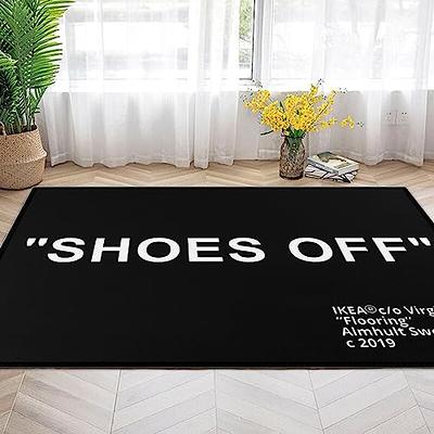 Non Slip Entryway Rugs 3x4 Indoor Mats