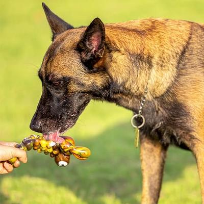 Sedioso Large Dog Toy, Dog Chew Toy for Aggressive Chewer, Dog