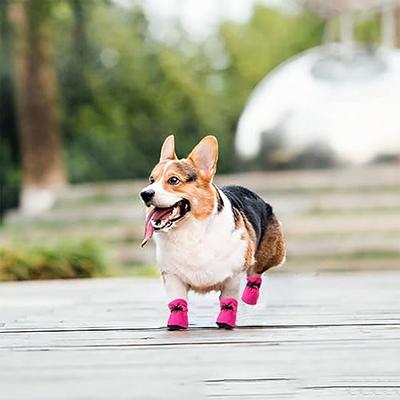 Summer Dog Boots for Hot Pavement