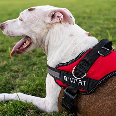 Emotional Support Harness With Handle Stuffed Animal Plush