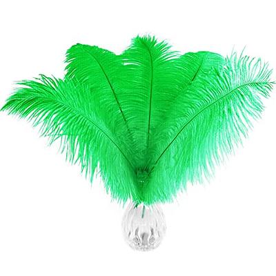 12pcs Natural Black Ostrich Feathers 12-14inch (30-35cm) for Wedding Party Centerpieces,Flower Arrangement and Home Decoration