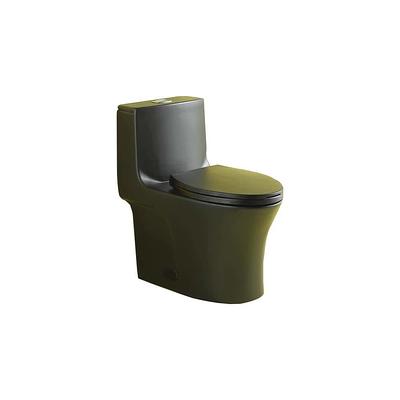 Dual-Flush Elongated One-Piece Black Toilet (Seat Included)