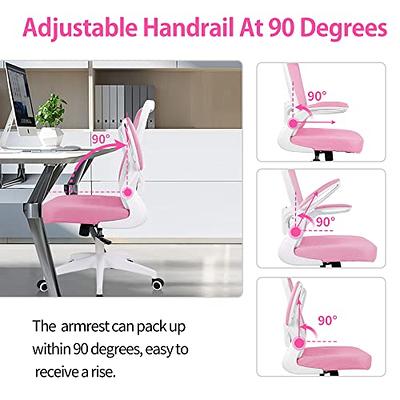 FelixKing Office Chair, Ergonomic Desk Chair with Adjustable Height and  Lumbar Support Swivel Lumbar Support Desk Computer Chair with Flip up  Armrests