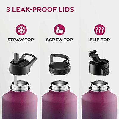 Simple Modern Water Bottle with Straw Lid Vacuum Insulated Stainless Steel  Metal Thermos Bottles | Reusable Leak Proof BPA-Free Flask for Gym, Travel