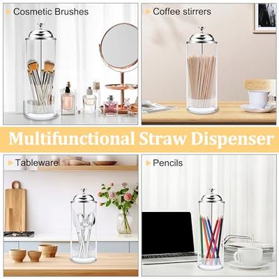 Glass Straw Dispenser w/Straws