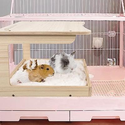 Guinea Pig Supplies, Accessories & Toys