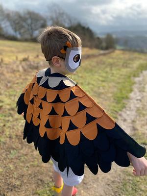 iROLEWIN Eagle-Bird Wings-Costumes for Kids Bird  
