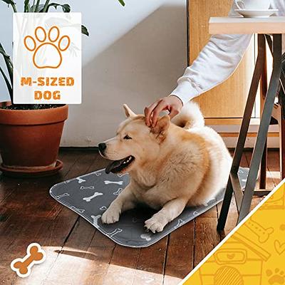 Buy The Proper Pet Washable Pee Pads for Dogs, Reusable Puppy Pads - Easy  to Clean, Waterproof Dog Mat, Puppy Mat - Reusable Dog Pee Pads - Washable  Potty Pads for Dogs 