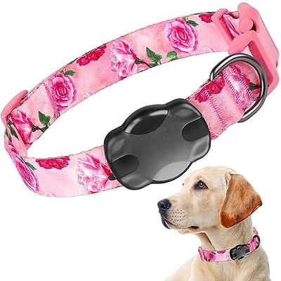 Luxe and Loli Light Blue Dog Collar With Air Tag Holder, Large 