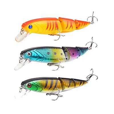 CRAZY SHARK Fishing Lures Set, 3 PCS Multi-Jointed Baits Kit, Artificial  Fishhooks 3D Lures for Pike Bass Perch Trout Salmon, Saltwater Freshwater Fishing  Accessories - Yahoo Shopping