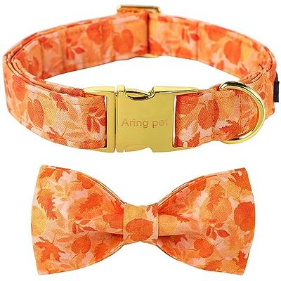  Girl Dog Collar,Flower Dog Collar, Cotton Fabric Collar with  Rose Gold Metal Buckle : Pet Supplies