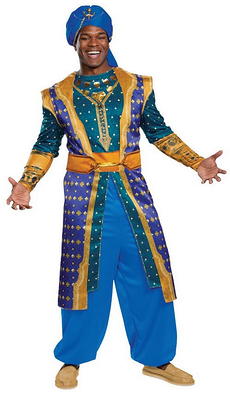 genie costume for teenagers