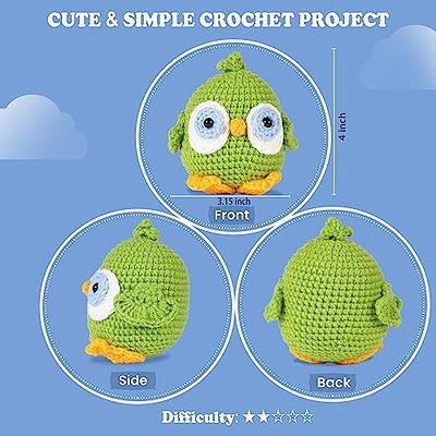 KSORUSL Crochet Kit for Beginners, Cute Green Animal Crochet Starter Kit  Include Videos Tutorials, Yarn, Stuffing, Crochet Hook, Stitch Markers,  Plastic Eyes, Keychain - Boys and Girls Birthdays Gift - Yahoo Shopping