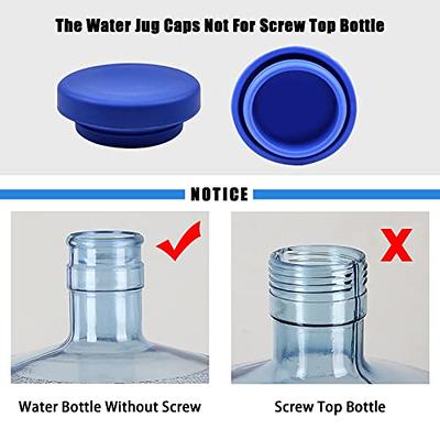 Replacement Jug Lid & Cap