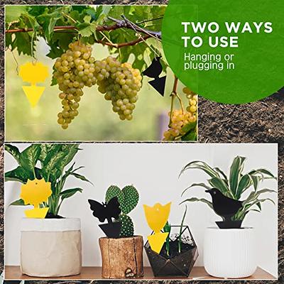 Qualirey Fruit Fly Traps for Indoors Hanging Fly Traps Outdoor