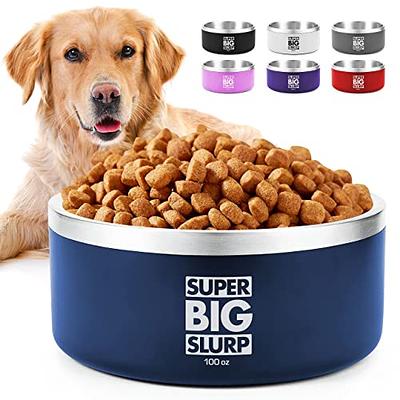 An elevated large dog bowl makes meals easier, safer for big dogs