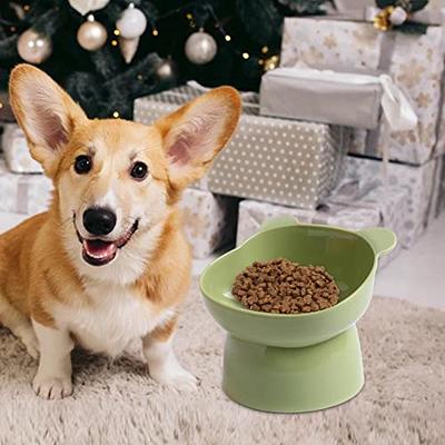 Cat and Dog Food Bowl with Neck Protector