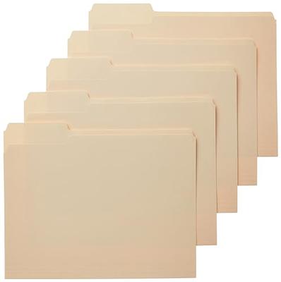 Basics AMZ401 File Folders - Letter Size (100 Pack) – Assorted Colors  : : Office Products